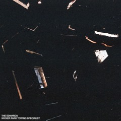 Wicker Park Towing Specialist