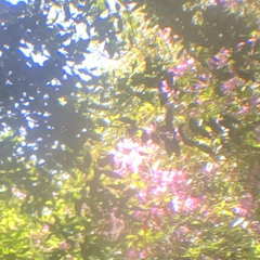 Dancing Hats : Marksman & Dekka