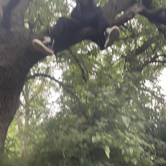 CHARGED UP! (Prod. Rollie)