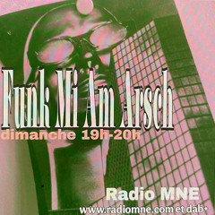 Funk Mi Am Arsch 16112025
