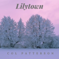 Col Patterson Lilytown