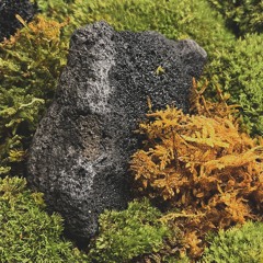 처음 같던 설렘 (Demo)