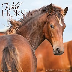View [PDF EBOOK EPUB KINDLE] Wild Horses 2023 Wall Calendar by  Willow Creek Press ☑️