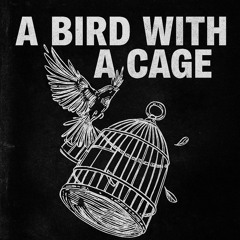 A bird with a cage (BURMESEDRILL) FLexke_Trap (RAW) YVstudio