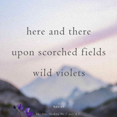 viole-n-ts [ naviarhaiku582 ]