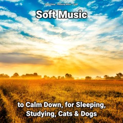 Relaxing Music for Serene Sleep