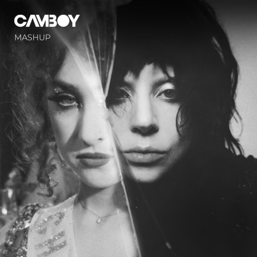 Vanish Into You x Good Luck Babe (by Lady Gaga & Chappell Roan) | Mashup (Pitched) [FREE DOWNLOAD]