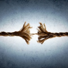 Jyder Spiser Ikke Kalvetunge og Dild