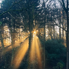 Improvisation_271125_Cold November