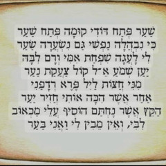 02 שער פתח דודי