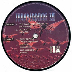 The Washington Affair - Get Down And....