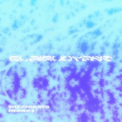 Misogi - Clairvoyant (wizzzbeats remix)