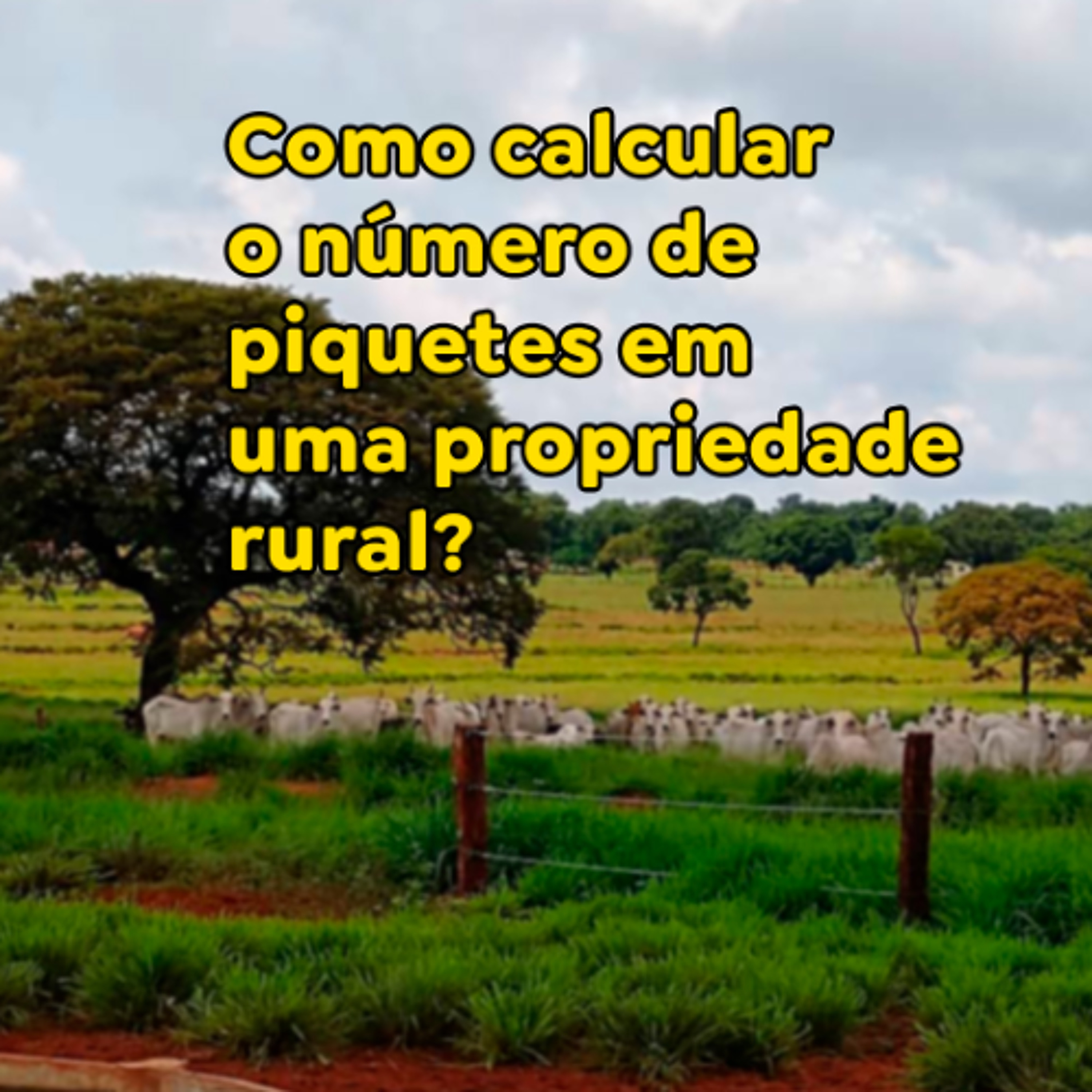 Paracatu Rural - Jornal do agronegócio