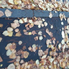 Sanctum for Piano Concerto (excerpt) (2025)