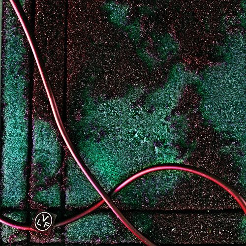 Numéro 19