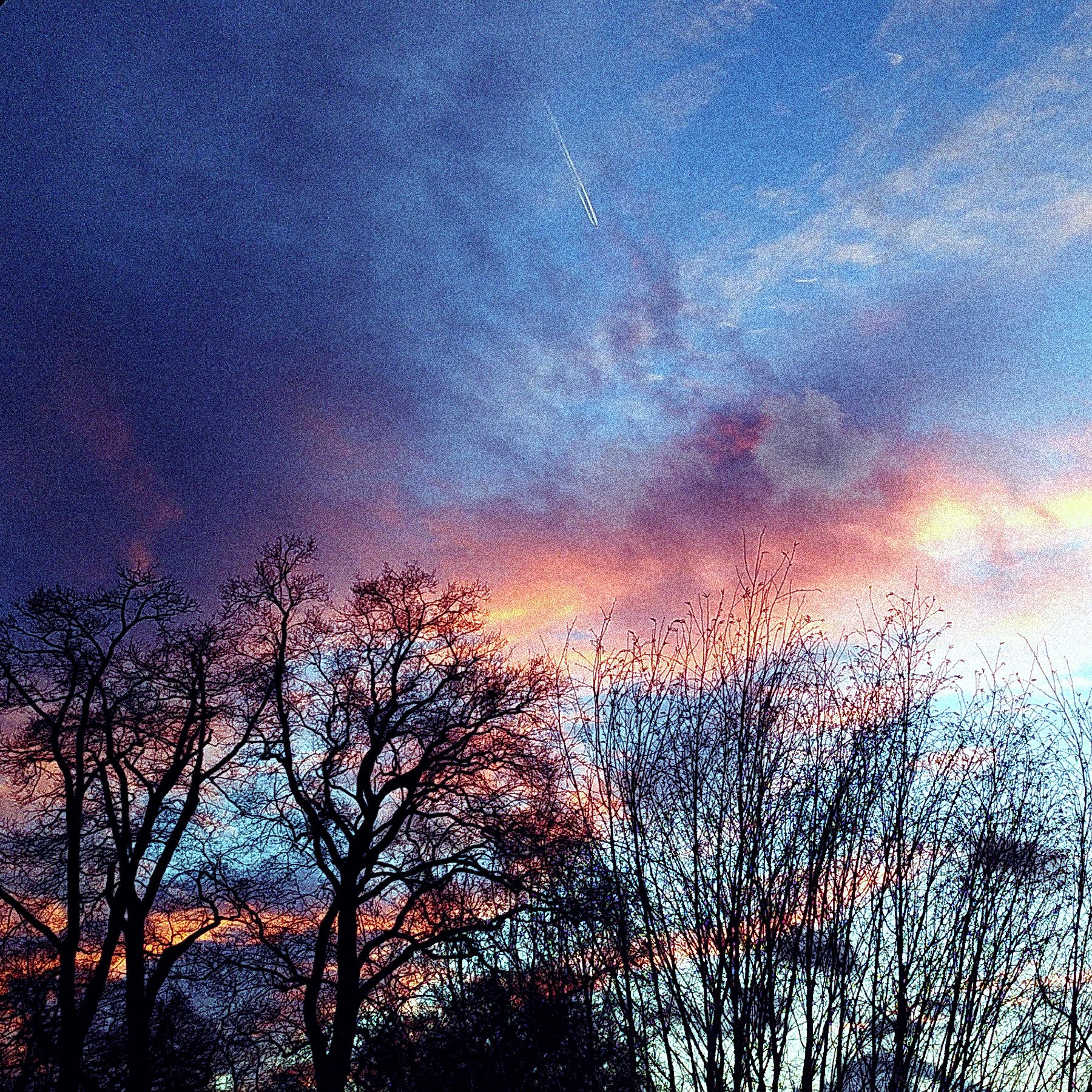 Artificial Sky