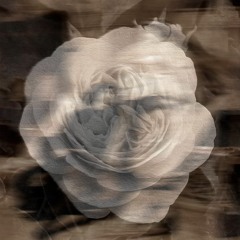 Kamelot - Джульєтта