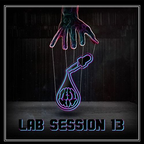 Lab Session 13