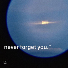 Never Forget You