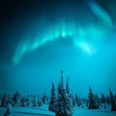 Blue Dreaming