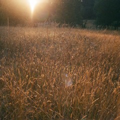 Song 13 - Thomas Whythorne (To God All Honour Give)