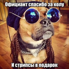 клэшрояльский freestyle