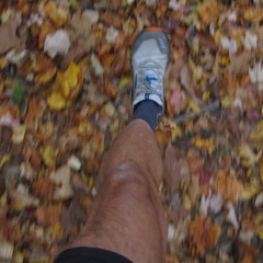 Hike at Happy Hollow Gardens, Roanoke, VA