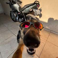 MCs BEATRIZ TH E GW - DEIXA EU SENTAR EM VOCÊ (( DJ TERRORISTA ))