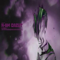 N-am cazut