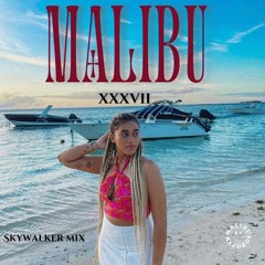 Malibu Sessions EP 37 - SKYWALKER (Deep In Control #1)