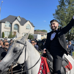 محمد الزغلول   1