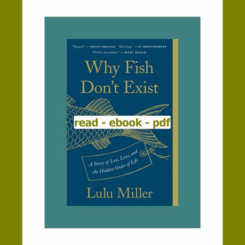 Stream episode Free Download Why Fish Don't Exist A Story of Loss Love