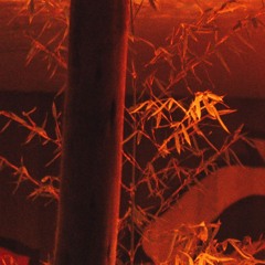 Live @ Home - Archive