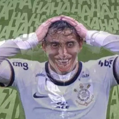 Eu Amo a Torcida do Corinthians - Pink Freud 2