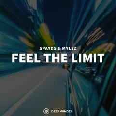 MYLEZ & Spayds - Feel The Limit