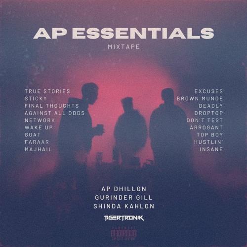 AP ESSENTIALS MASHUP | AP Dhillon, Gurinder Gill, Shinda Kahlon | TIGERTRONIK