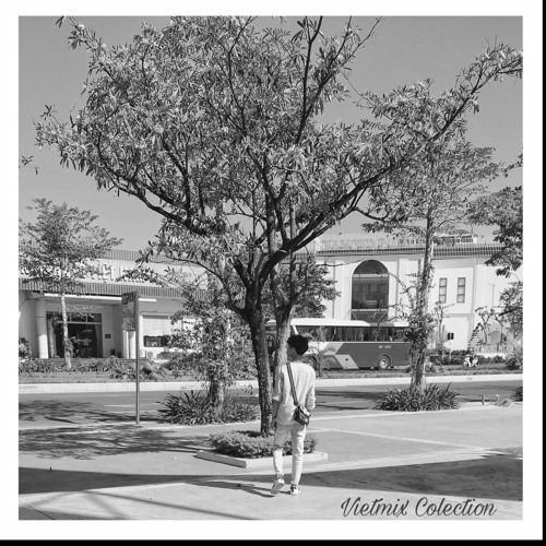 Vietmix Collection 2020