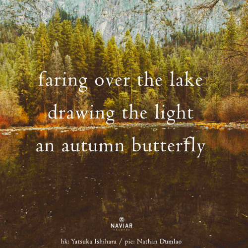 an autumn butterfly [naviarhaiku612]