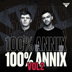 100% Annix Mix 2