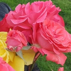 angel baby cover (Rosie and the Originals)  (1).m4a