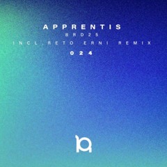 PREMIERE: Apprentis - BRD25 (Reto Erni Remix) [Routless Records]
