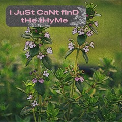 i JuSt CaNt FiNd tHe tHyMe