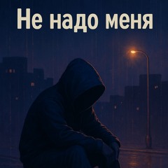 Не надо меня
