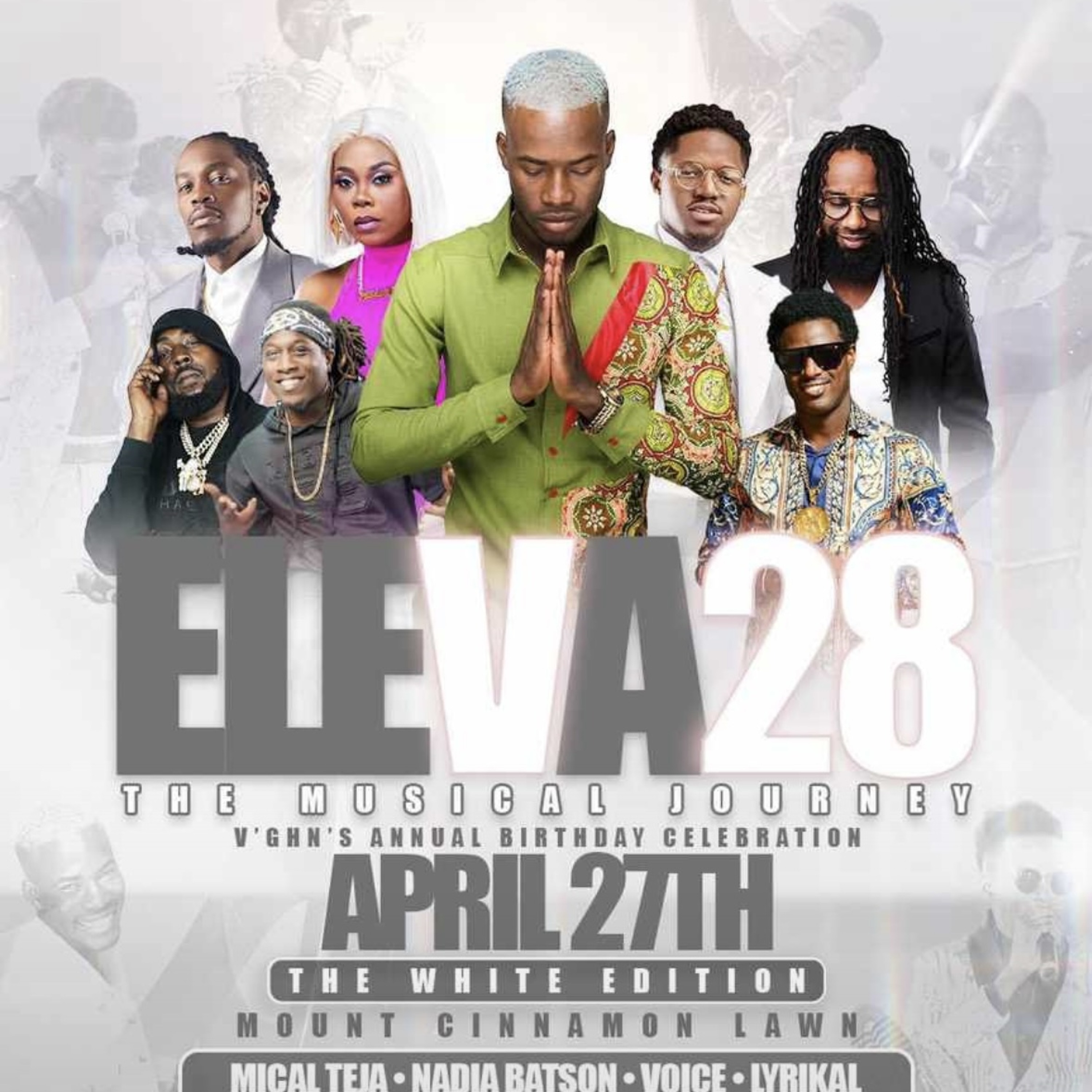 V28 ELEVATE PROMO MIX