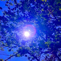 Crowley Mix - Episode 103 - Progressive House - Trees