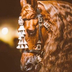 Oldi - Havada Bir Veda Var