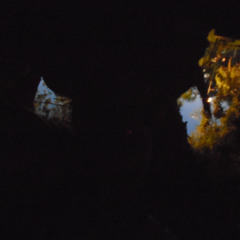 as foto da cybershot