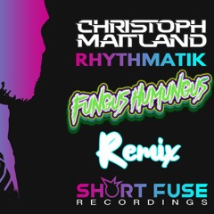 Christoph Maitland - Rhythmatik (Fungus Humungus Remix)