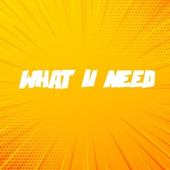 what u need