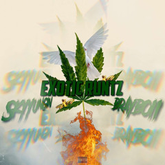 Brayboii~Exotic Runtz ft. Skyyungin